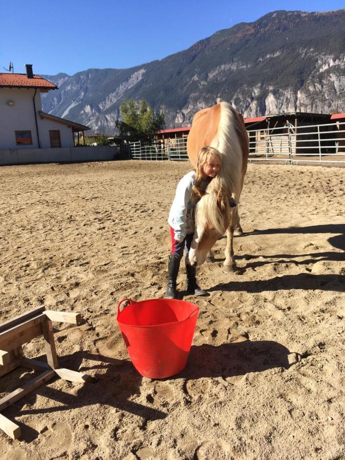 סילץ B&B Margit'S Ranch Urlaub Am Pferdehof מראה חיצוני תמונה